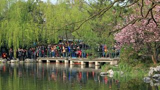 西湖十景春天风景 2013 景点图 95_7