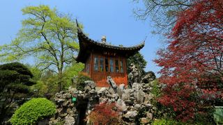 西湖十景春天风景 2013 景点图 95_9
