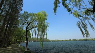 西湖十景春天风景 2013 景点图 95_14