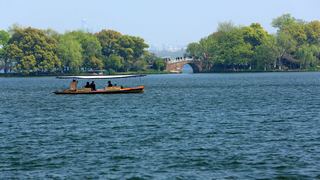 西湖十景春天风景 2013 景点图 95_15