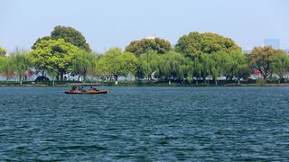 西湖十景春天风景 2013 景点图 95_16