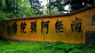 华顶国家森林公园 景点图 97_8
