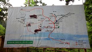 华顶国家森林公园 景点图 97_9