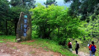 华顶国家森林公园 景点图 97_13