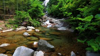 龙游涧 景点图 98_6